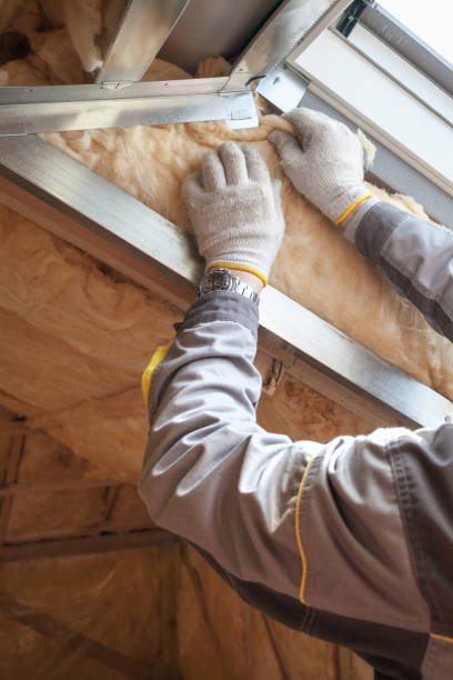 Best Residential Insulation in Carrollton, VA