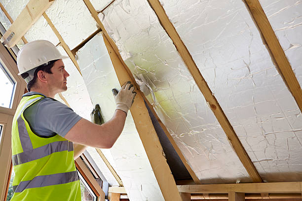 Best Energy Efficiency Solutions in Carrollton, VA