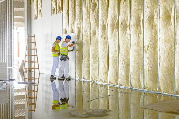 Best Residential Insulation in Carrollton, VA